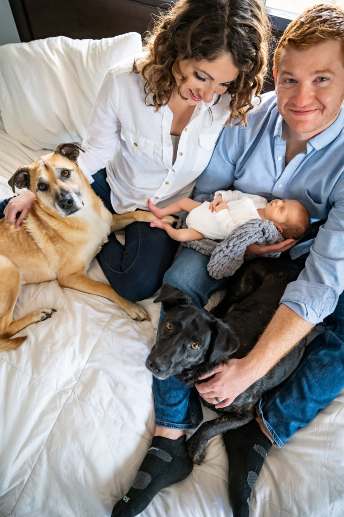family photo with newborn baby and 2 dogs